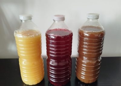 Nos jus 100 naturels